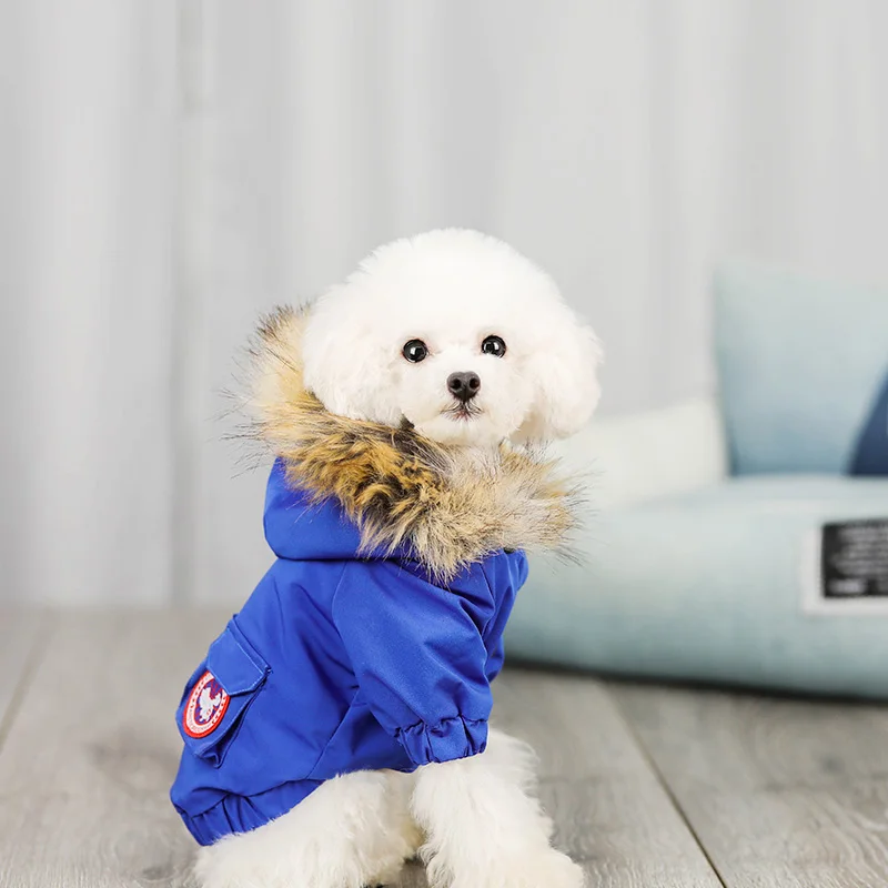 Одежда для собак с меховым воротником маленьких и средних кошек Перро бульдог