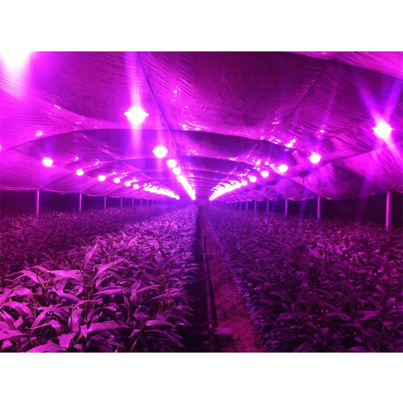 Светодиодный светильник BridgeLux высокой мощности полного спектра 5 10 20 50 100 шт. 1 Вт 3