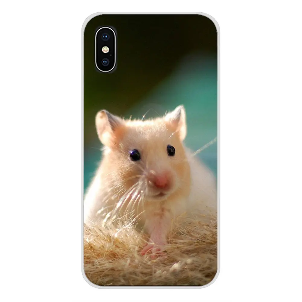 Cartoon Hamster For Samsung A10 A30 A40 A50 A60 A70 Galaxy S2 Note 2 3 Grand Core Prime Accessories Phone Cases Covers | Мобильные