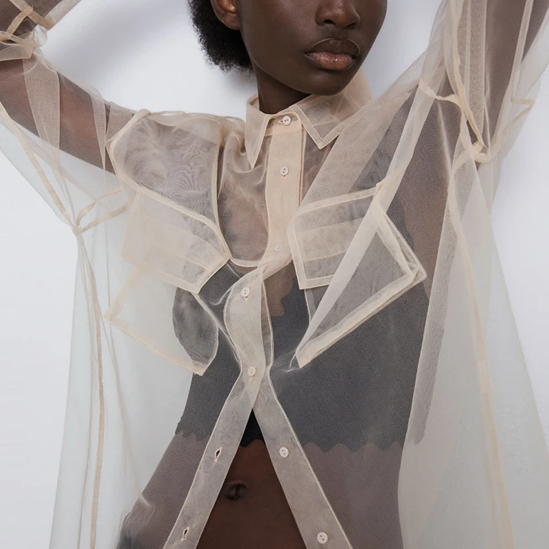 Новинка весна-осень 2020 женская модная прозрачная длинная рубашка ZA с длинными