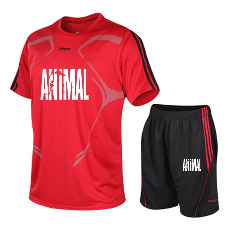 

2021 Men's Summer Letterprint Casual Fitness Suit Sports Suit Short Sleeve T-Shirt + Quick Dry 2-piece Set