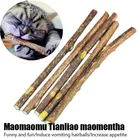 Зубная паста для кошек и животных