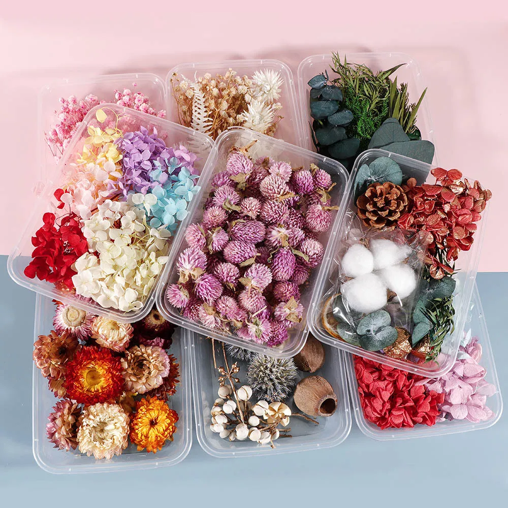 

Box Real Dried Flower Dry Plants Natural Immortal Flower Photo Frame Making Craft DIY Accessories Home DIY Decoration HOT