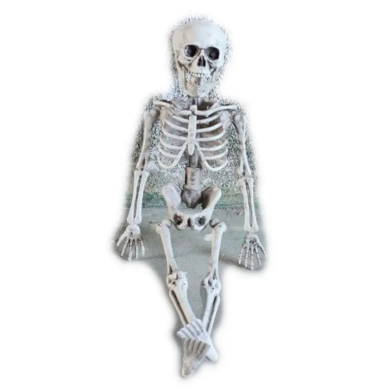 

Halloween Party Ornaments Scary Skeleton Skull and Crossbones Scene Decor Props