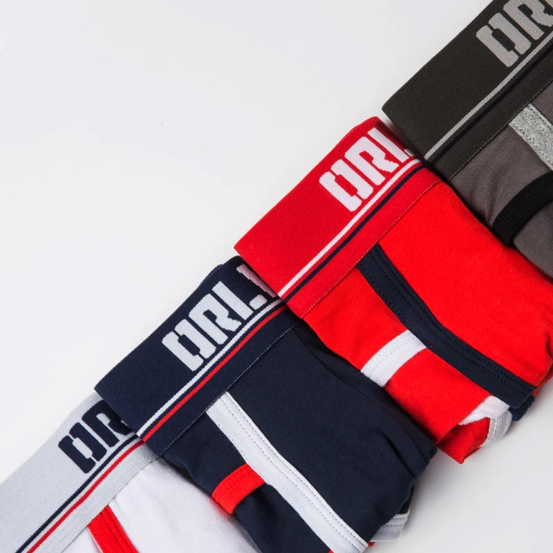 

4 PCS/LOT Brand Sexy Gay Briefs Men Underwear Cotton Comfortable Underpants Low Waist Breathable U Convex For Man High Quality