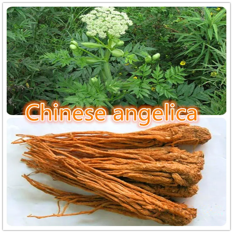 100-1000g Bulk Angelica Sinensis Root Extract Ligustilide Powder 20:1 Chinses Dong Quai All-purpose Woman's Tonic Herb | Красота и
