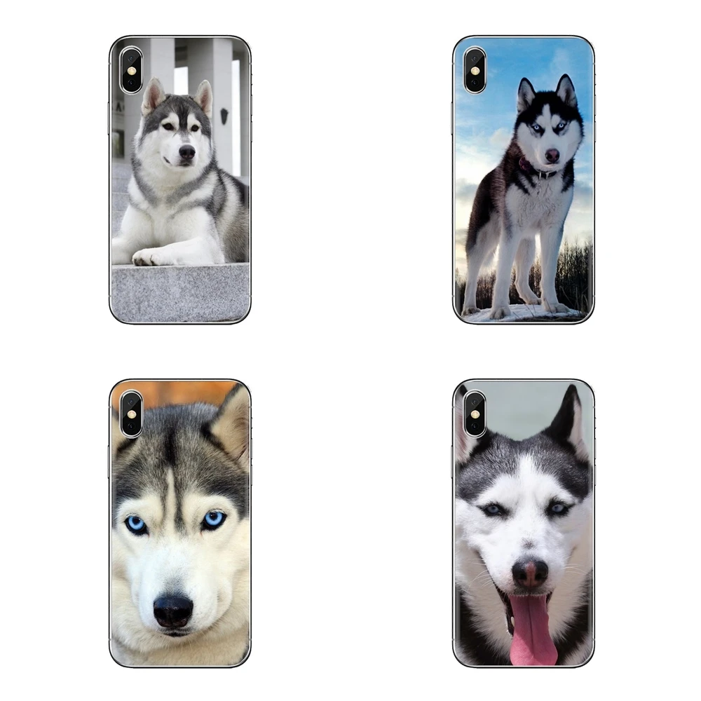 Прозрачные мягкие чехлы милые игрушечная Лайка собака для Samsung Galaxy A3 A5 A7 A9 A8