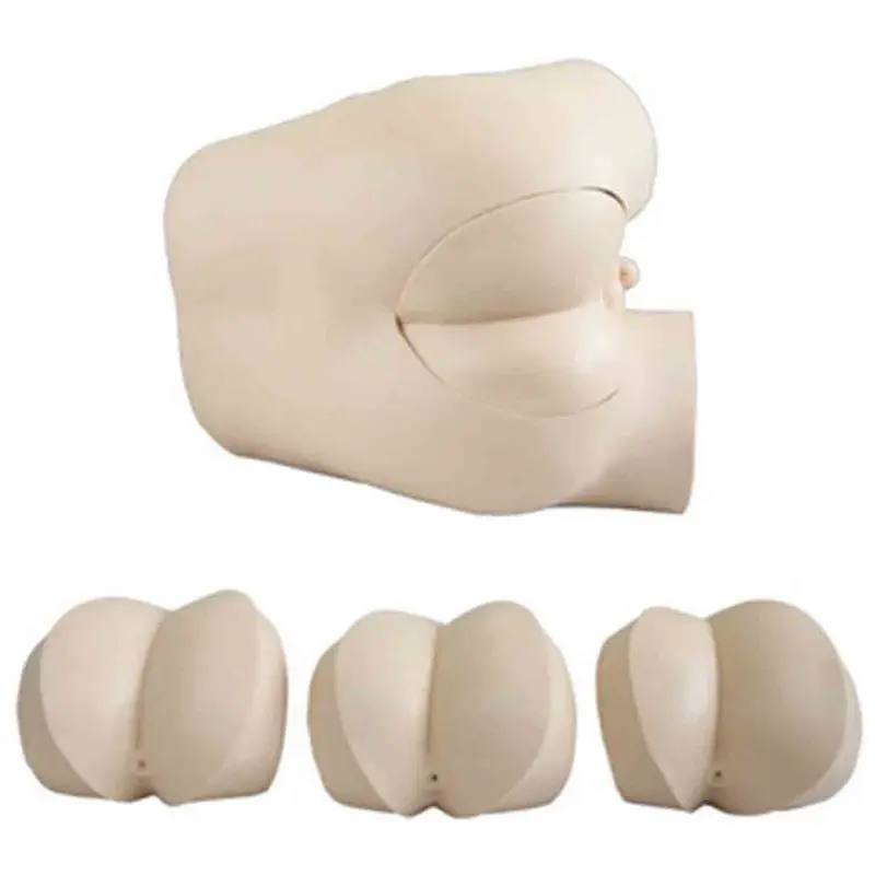 

Rectal finger examination model