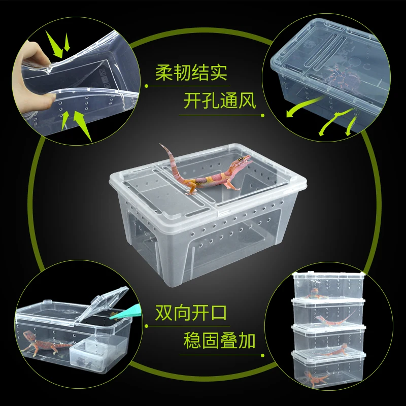 Ящик для разведения животных 1 шт. лазания паук лягушка шелкопряд коробка детей