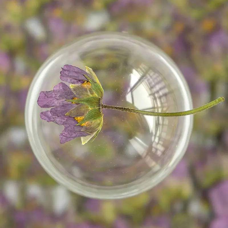 Натуральные сушеные цветы Azalea на стеблях для украшения стеклянных стаканов