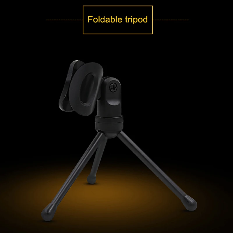Microphone Mic Audio Condenser Vocal Studio Recorder with Tripod Stand SGA998 | Электроника
