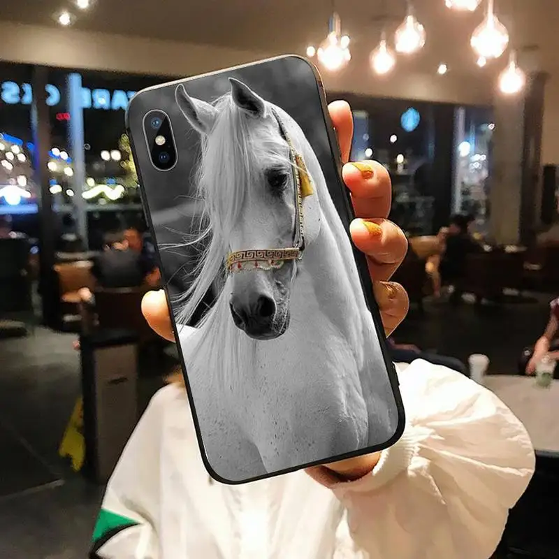 

Frederik The Great beauty horse Phone Case for iPhone 11 12 pro XS MAX 8 7 6 6S Plus X 5S SE 2020 XR