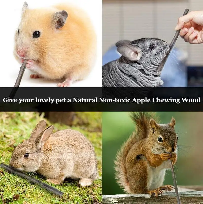 8 шт./пакет питомцы играющие маленькие кролик морская свинка попугай игрушка