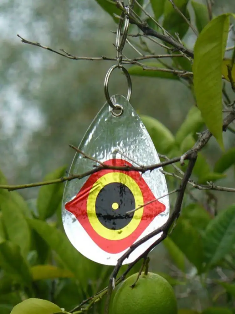 5 шт. садовый птица репеллент глаза Глаз Совы Птицы Светоотражающие ужас