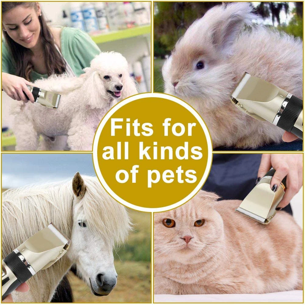 

Personal Care Appliances