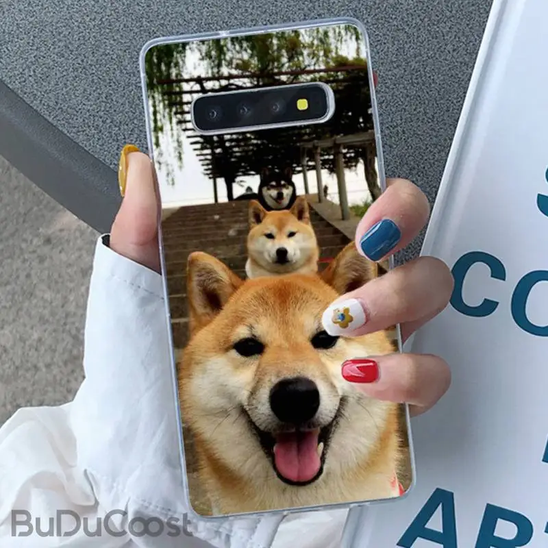 Riccu чехол для телефона с изображением животного Шиба-ину Samsung Galaxy S10 Plus S10E S6edge S7edge S8