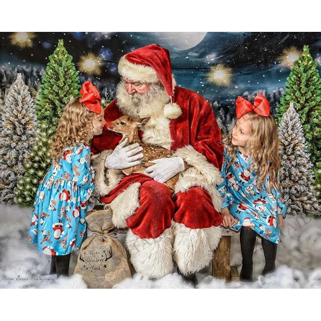 

Light Bulb Photography Background Christmas Snow Trees Snowfield Backdrop Winter Forest Birthday Artistic Portrait Photo Shoot