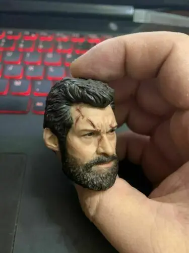 

1/6 Logan 12