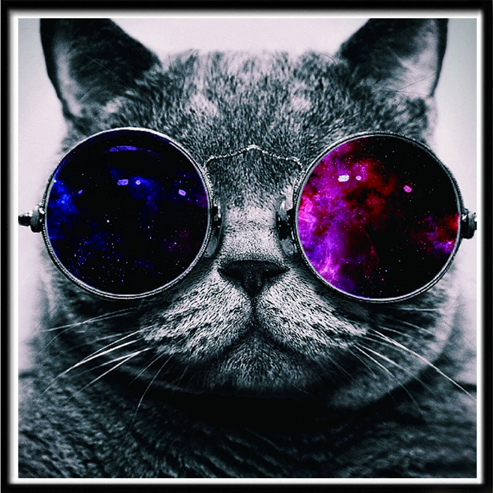 Алмазная 5d мозаика сделай сам с мультяшными животными и очками кот круглая