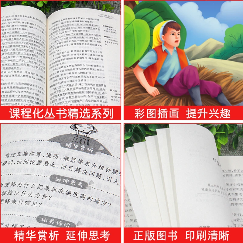 6 шт. детский фотоальбом динозавр | Канцтовары для офиса и дома