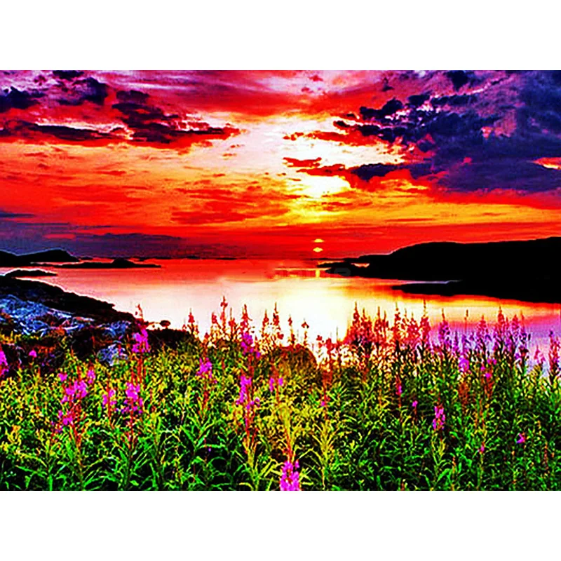 5D алмазная живопись полный набор сцена цветной цветок море круглая стразы