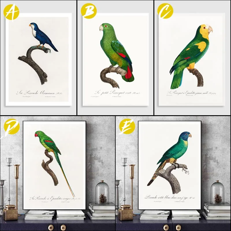 Желтая Настенная картина с плечами в виде попугая искусство на холсте