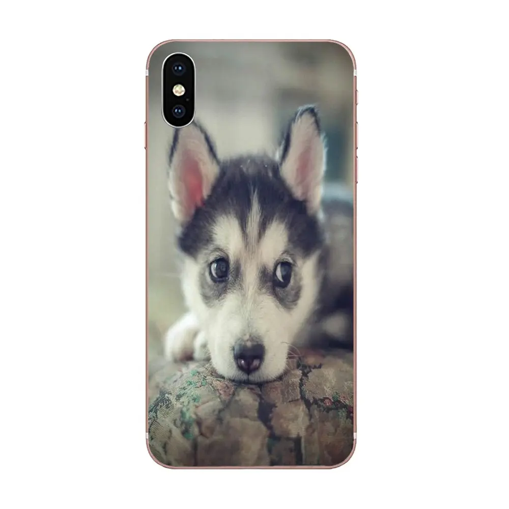 TPU сотовый телефон для samsung Galaxy Note 5 8 9 S3 S4 S5 S6 S7 S8 S9 S10 5G mini Edge Plus Lite Siberian Husky милые