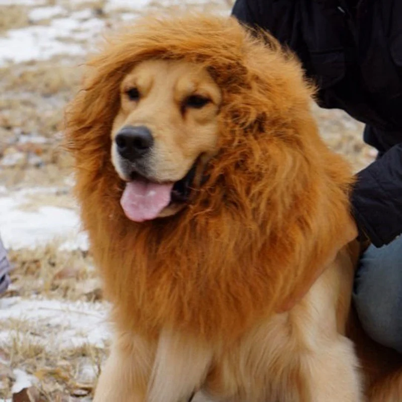 

Cute Pet Cosplay Clothes Transfiguration Costume Lion Mane Winter Warm Wig Cat Large Dog Party Decoration With Ear Pet Apparel