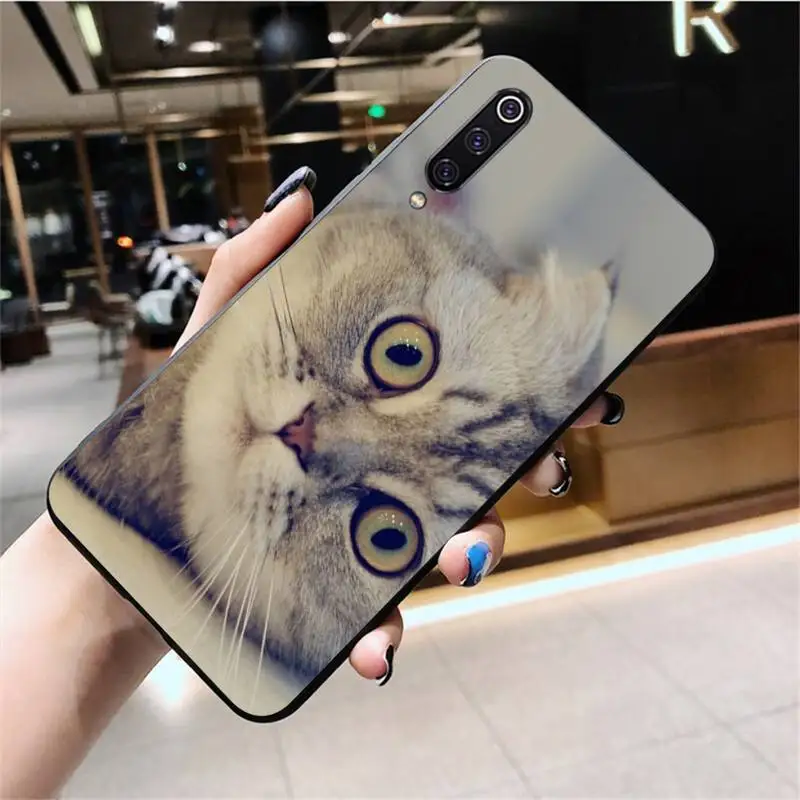 

PENGHUWAN Scottish fold cat Coque Shell Phone Case For Huawei Nova 6se 7 7pro 7se honor 7A 8A 7C Prime2019