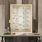 ДНК и РНК генно-код настенный художественный холст живописи, печать генетики Биохимический Настенный декор Плакаты наука студент подарок Винтаж