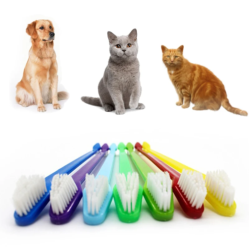 

Pet Cat Dog Supplies Tooth Finger Brush Care For Pet Toothbrush Plastic Cleaning Supplies Cat Toothbrushes Pet Dog Brush Tools