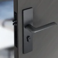 Modern Interior Silent Anti-theft Door lock Bedroom stainless steel Security Door Knob Lock home renovation Hardware Accessories