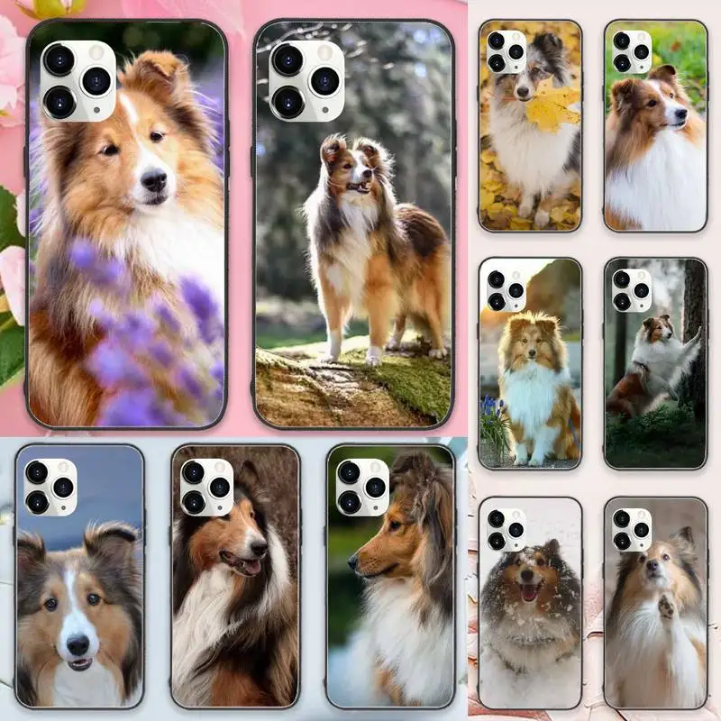 

Sheltie dog cute animal Phone Case For iphone 12 11 13 7 8 6 s plus x xs xr pro max mini
