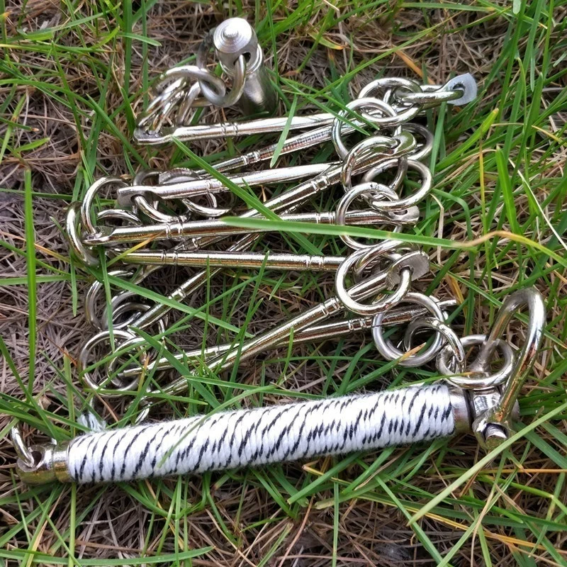 Nine section Whip Китайский традиционный боевое искусство представление тренировочный