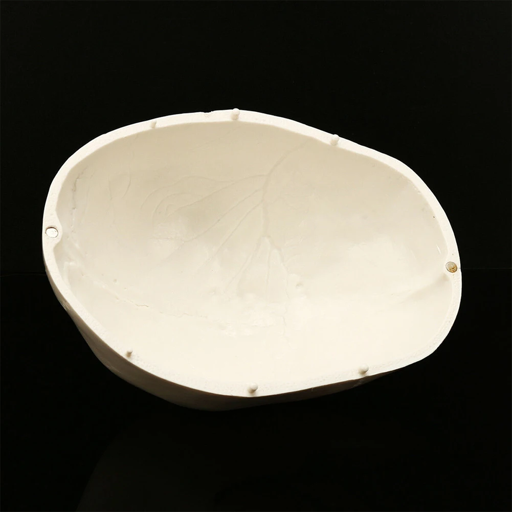 Вечерние скелет для медицинской учебной реалистичный реквизит Реплика