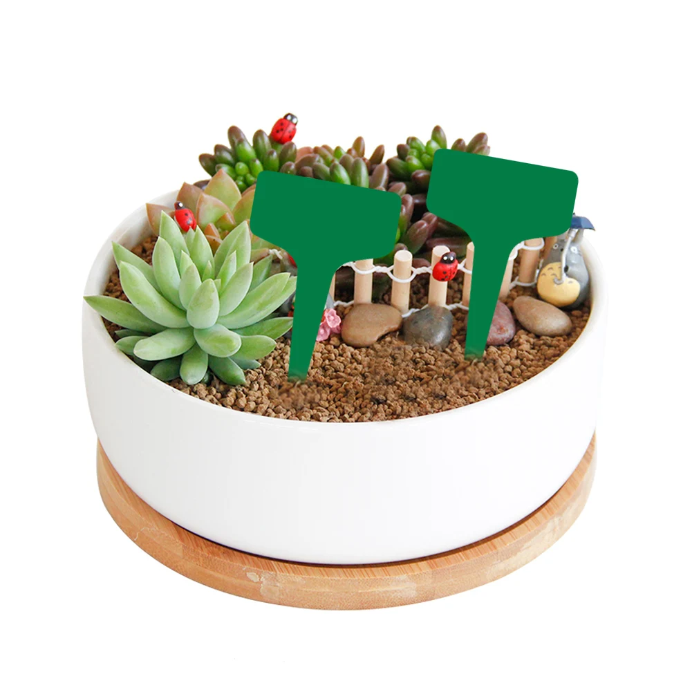 Набор из 24 прозрачных пластиковых поддонов для растений с 15 ярлыками и металлической лоткой для тяжелых горшков.