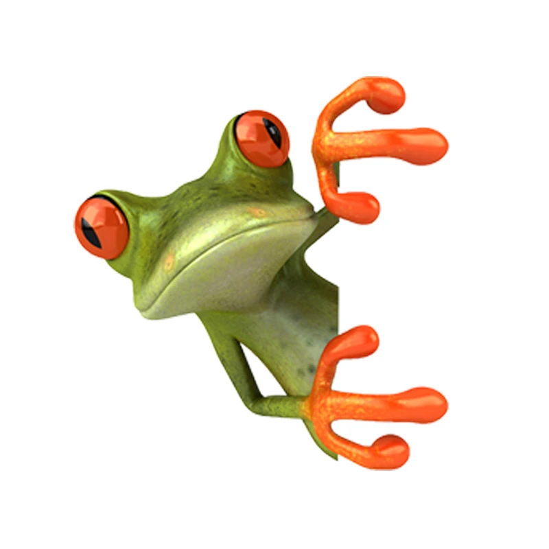

3D Frogs Funny Car Stickers Car-Styling Vinyl Creative Decal Waterproof Sticker Graphics for Truck Window Laptop,13cm*10cm