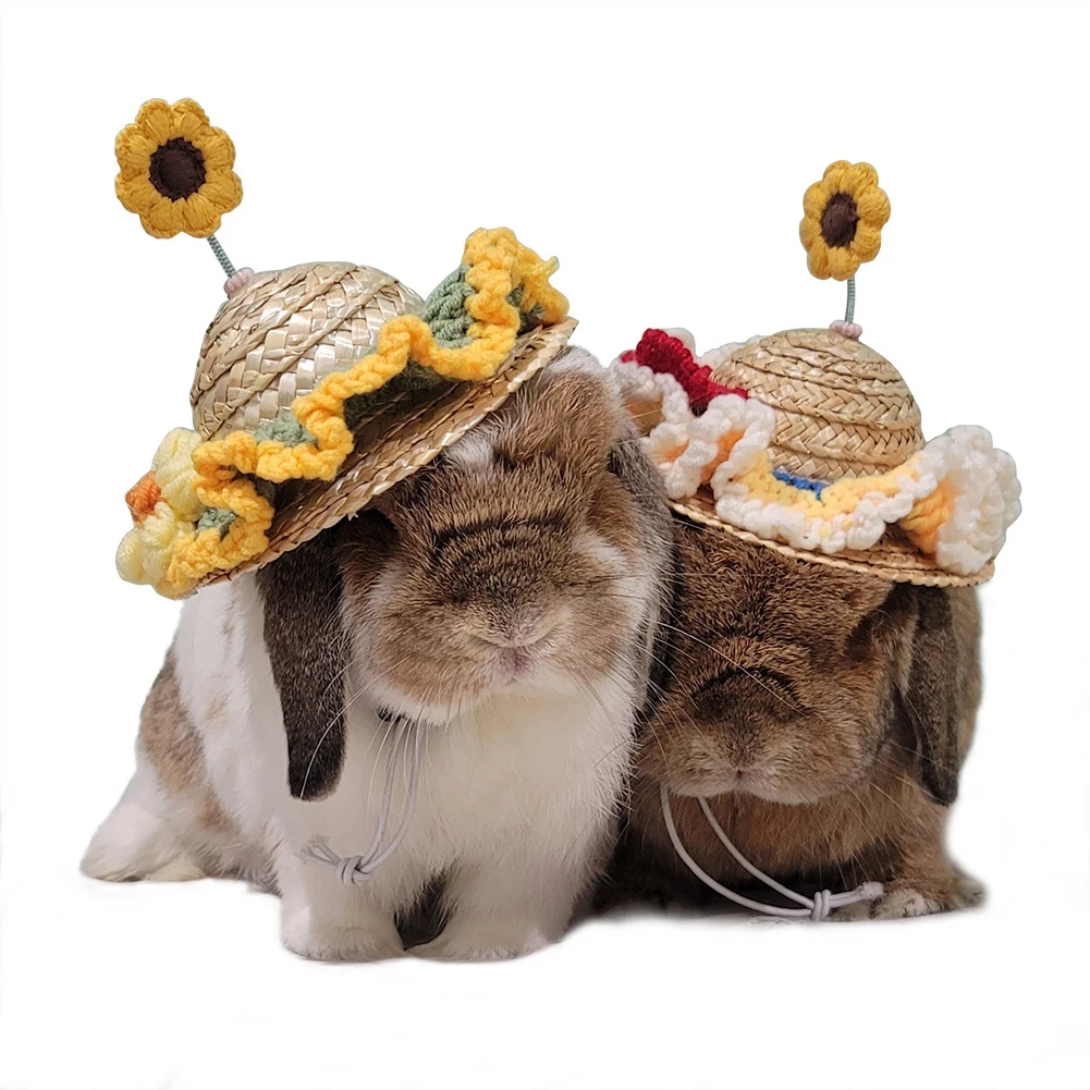 Забавные аксессуары для украшения сомбреро соломенная шляпа щенков и домашних