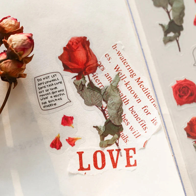 12 видов конструкций природные стикеры прозрачная ПЭТ Материал Цветы Листья