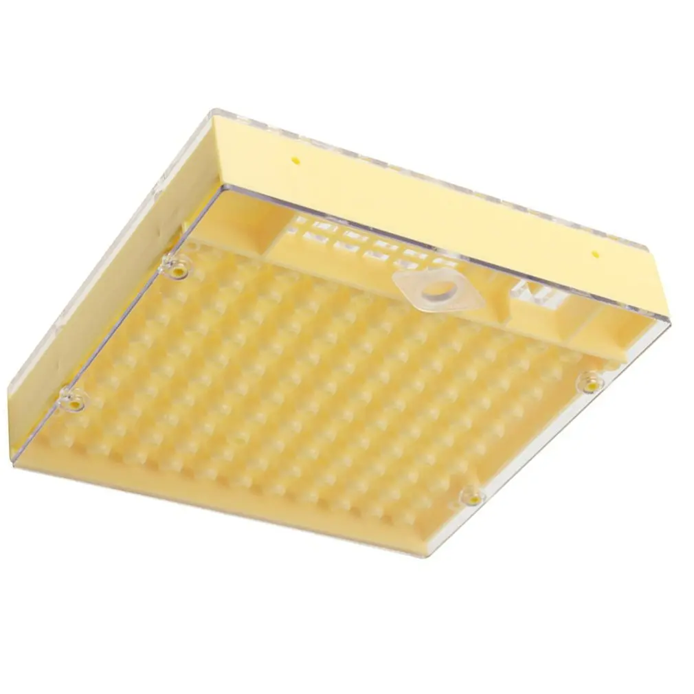 Пластик пчелы queen коробка для выращивания развивать пчеловодства Пчеловодство