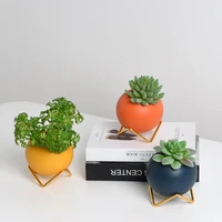 creative ceramic vase morandi modern simple fleshy flowerpot flower arrangement green planter iron frame hydroponic ball