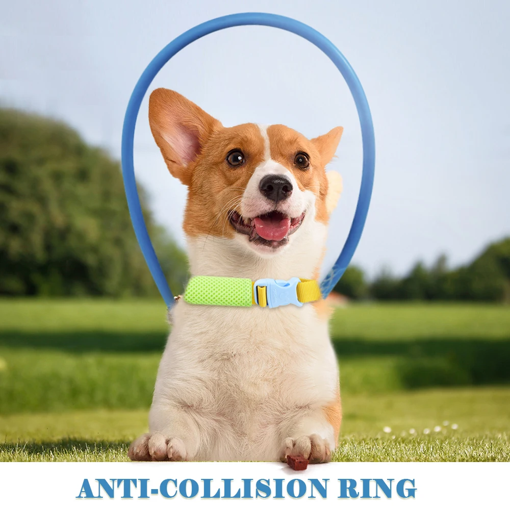 Blind Pets Anticollision Protection Collar Harness Anti-collision Ring Lightweight For Cat Dog Supplies | Дом и сад