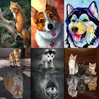 5D алмазная живопись сделай сам, картина с животными, лиса, кошка, собака, мозаика, полная круглая Алмазная вышивка, вышивка крестиком, домашний декор, искусство, подарок