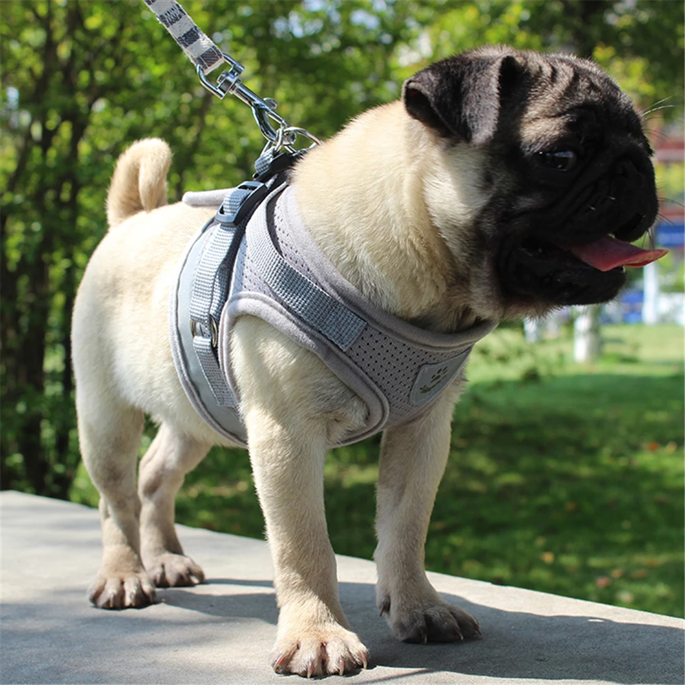 

Cat Harness set Traction Rope Adjustable Reflective Corduroy Comfortable Walking leash for Kitten Puppy Dogs Vest Harness