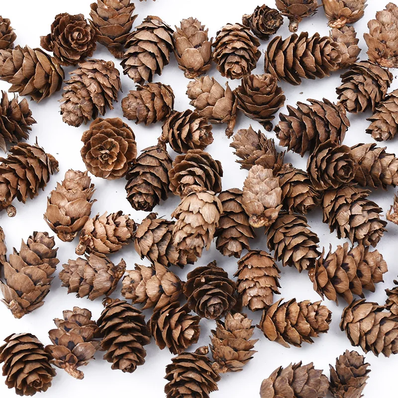 

20 Pieces Artificial plants cheap Natural Dried flowers Pine cone Acorn wedding Home Decoration DIY Christmas Garland Wreath