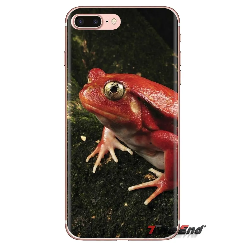 For Huawei G7 G8 P7 P8 P9 P10 P20 P30 Lite Mini Pro P Smart Plus 2017 2018 2019 TPU Skin Case Amphibian animals frog Poison Dart |