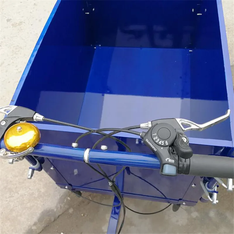 Семья Электрический грузовой трицикл 3 колеса взрослый велосипед способный