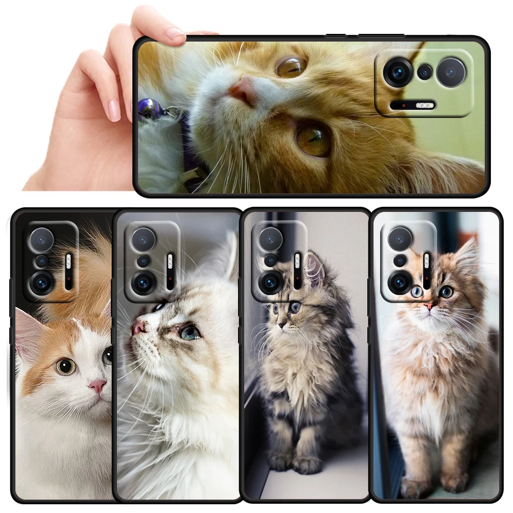 

Cute Cat Kitten Kawaii for Xiaomi Mi 11T 11i 10T 10i 9T 8 A3 K30S K30T Pro Lite Ultra 5G Silicone Black Phone Case Cover