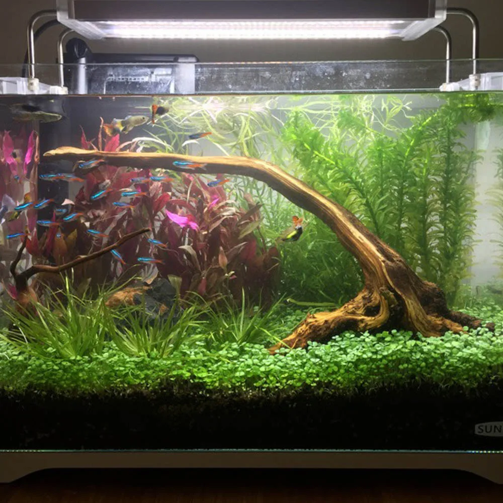 Behogar натуральный плавника аквариум деревянный декор ствол дерева тропических