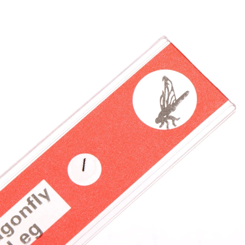 

48 Pcs Prepared Microscope Slides Specimen Animals Insects Plants Flowers Sample D7WA
